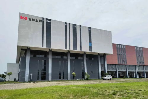 双品牌驱动，投资过亿建双工厂 投资管理新策略探析